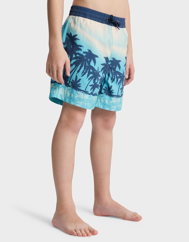 Quiksilver - Boys 8 to 16 Everyday Printed 14