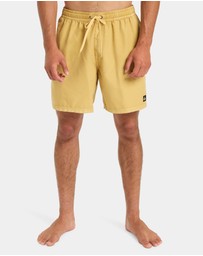 Quiksilver - Mens Everyday Volley 17