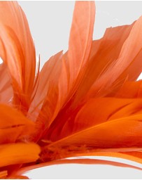 Max Alexander - Modern Orange Racing Fascinator