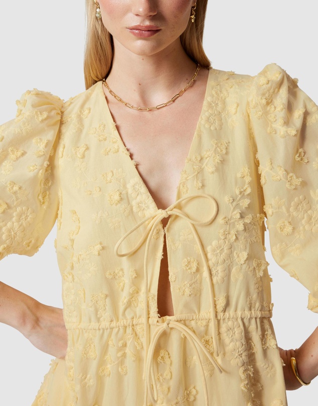 & Other Stories - Embroidered Mini Dress