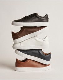 Aquila - Deco 2.0 Sneakers