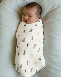 Kynd Baby - Large Stretchy Swaddle in Dachshund