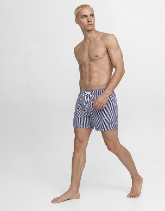 Jack & Jones - Jpstmaui Breeze Mini Stripe Swim Shorts