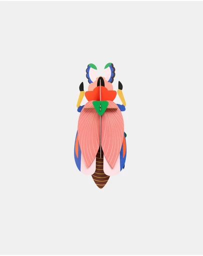 Studio Roof  - Wall Art Beetles A4