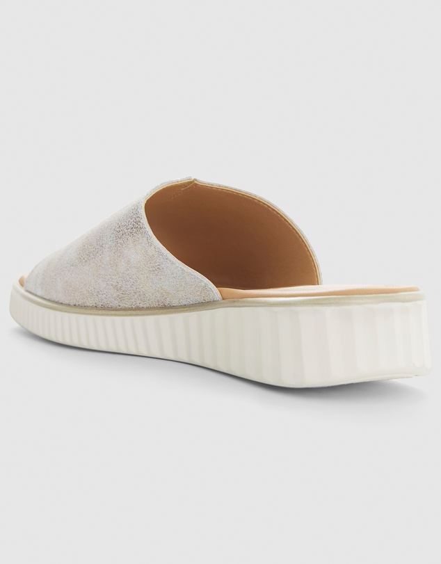 Easy Steps - Safari
