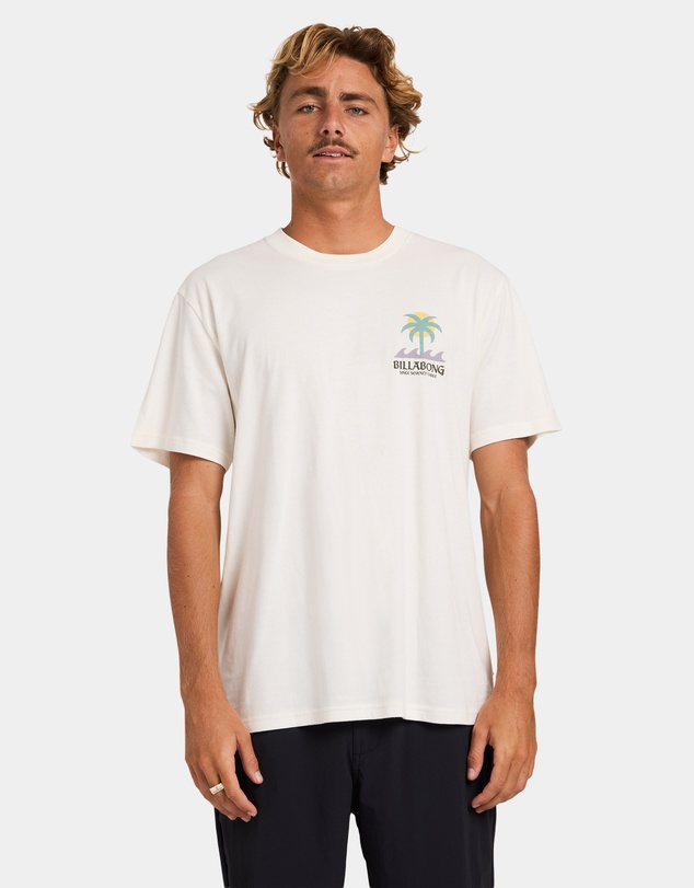 Billabong - Mens Portal Premium T-Shirt