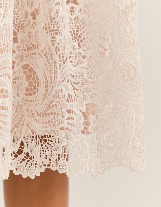 Review - Illusion Lace Midi Dress