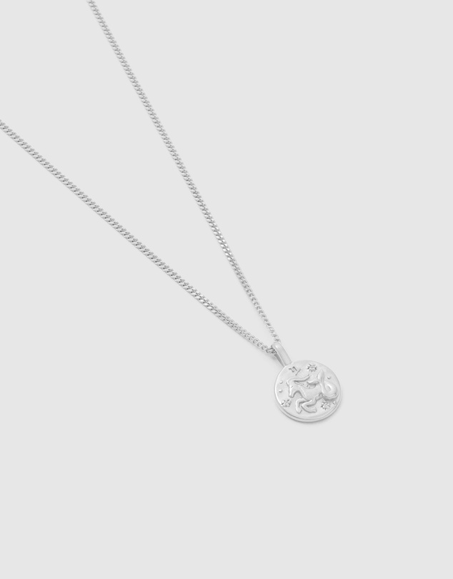 Kirstin Ash - Capricorn Petite Zodiac Necklace