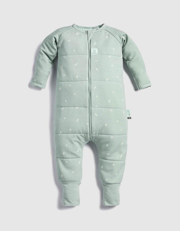 ergoPouch - Sleep Onesie 2.5 TOG