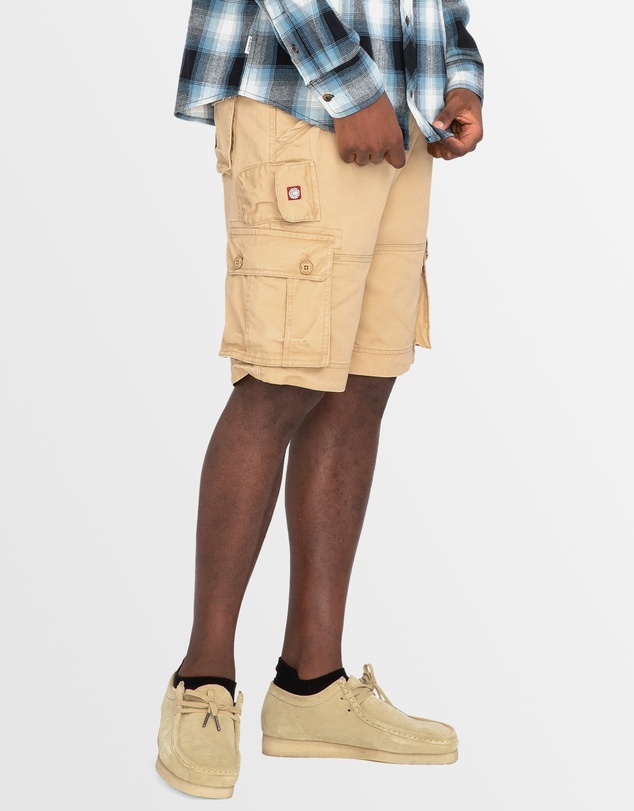 Element - Source Cargo Shorts