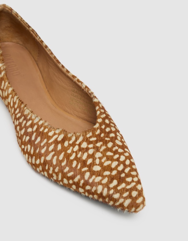 Oxford - Caolan Pointy Flat