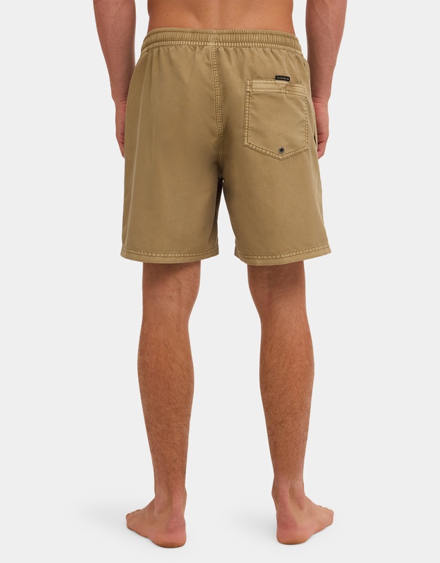 Quiksilver - Mens Everyday Surfwash 17