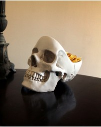 Suck UK - Skull Tidy