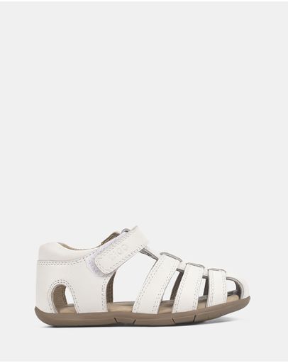 White/Gum
