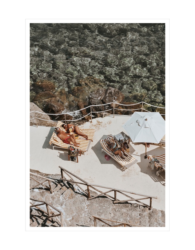 Amichi Co - Lounge Lizards Fine Art Print