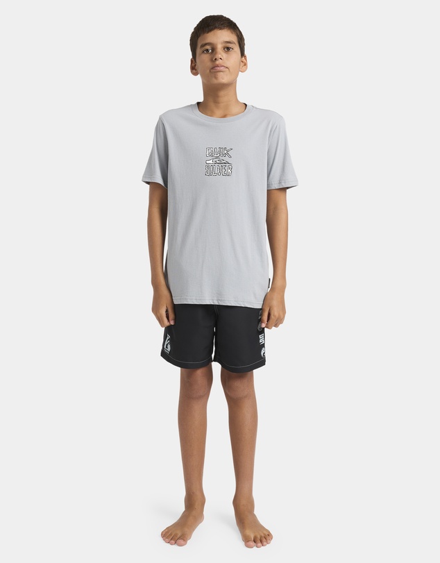 Quiksilver - Boys 8 to 16 Lo Res T-Shirt