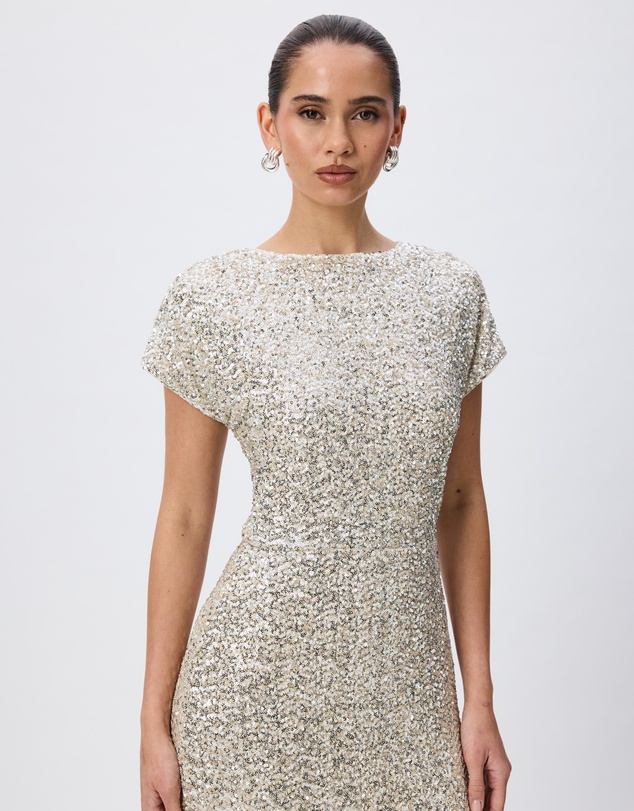 Tussah - Isadora Sequin Cap Sleeve Maxi Dress