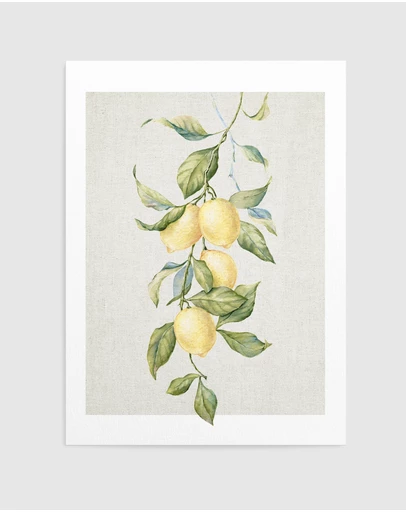 Olive et Oriel - Lemons on Linen II