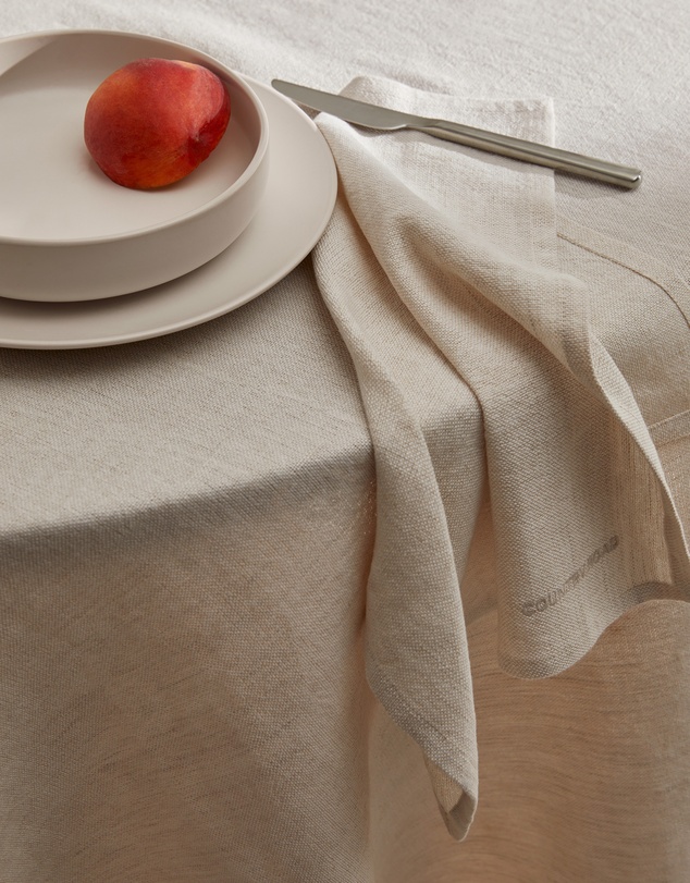 Country Road - Dana Napkin Pack Of 4