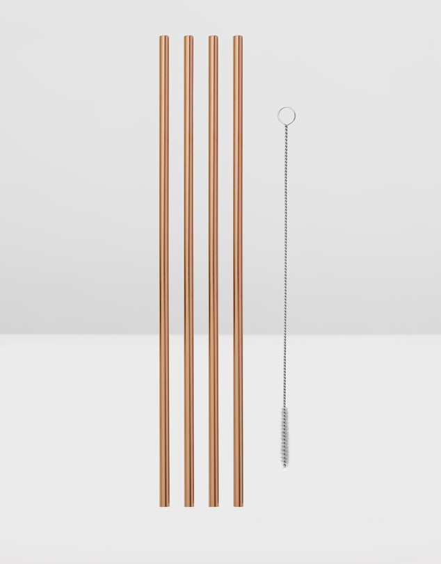 Porter - Porter Metal Straws 10 Inch