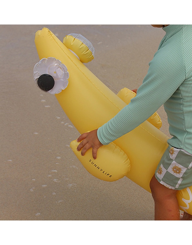 Sunnylife - Kids Inflatable Noodle Finn the Fish Multi Set of 2