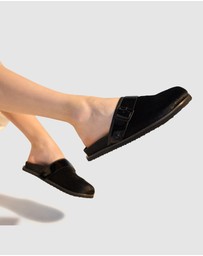 Rollie - Mills Mule Flat