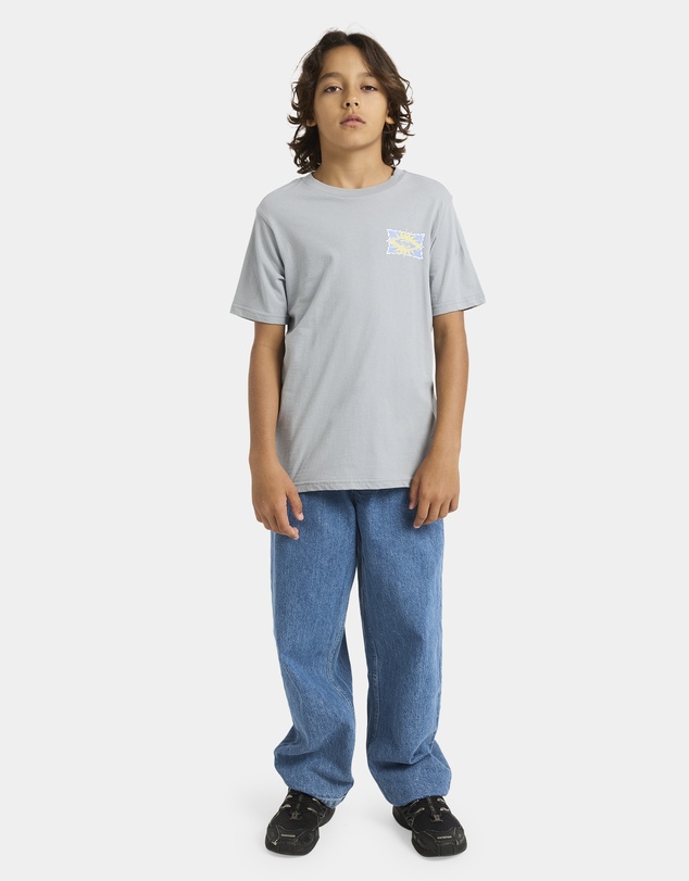 Quiksilver - Boys 8 to 16 Starfish Stamp T-Shirt