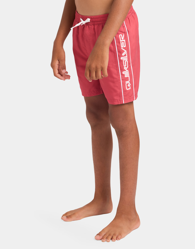 Quiksilver - Boys 8 to 16 Everyday Vert 14