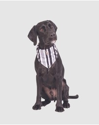 Mog & Bone - Dog Bandana - Pebble Black Brush Stroke Print