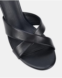 Novo - Zona Heels