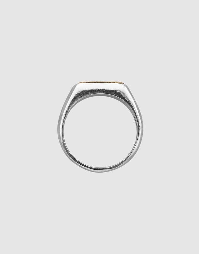 Haze & Glory - ICONIC EXCLUSIVE - Alive Signet Ring in 925 Silver