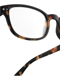 IZIPIZI - Reading Collection B Tortoise