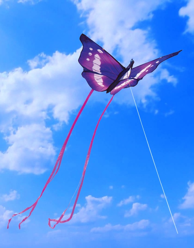 Freeplay Kids - Butterfly Kite