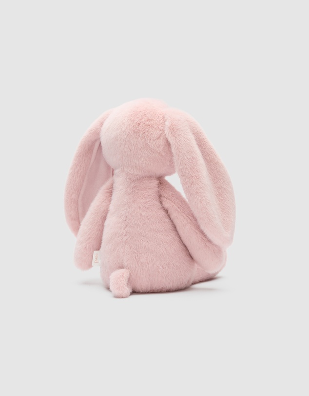 Seed Heritage - Bobby Bunny
