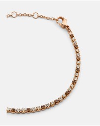 Daniel Wellington - Classic Tennis Bracelet Honey Combo
