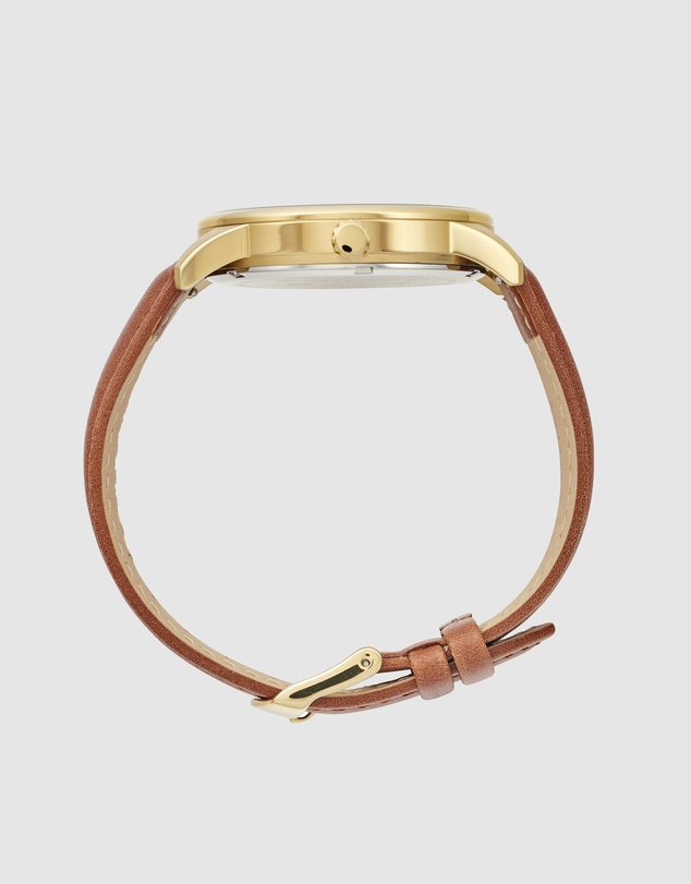 Maxum - Maxum x Taylor Steele - Green Dial, Gold Tone Case & Brown Leather Band