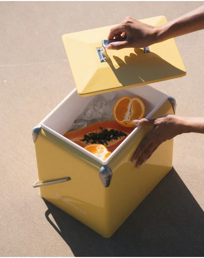 Napoleon Goods - Mini Cooler