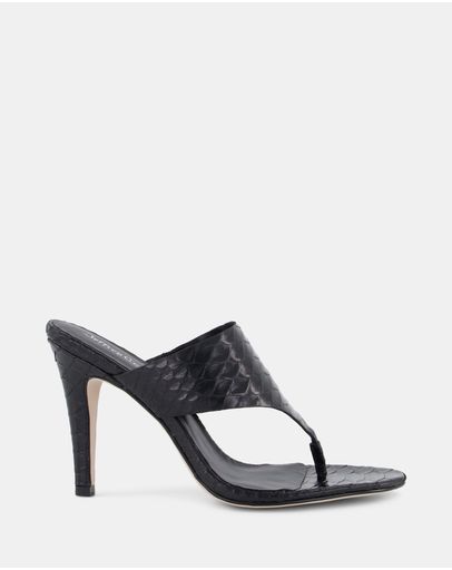 Black Snake