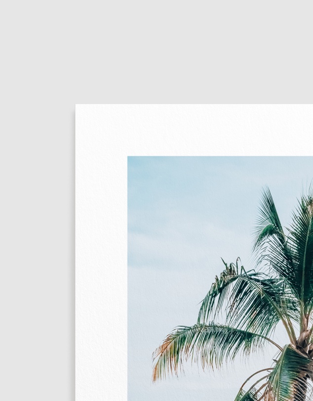 Olive et Oriel - Maldivian Palm I Art Print