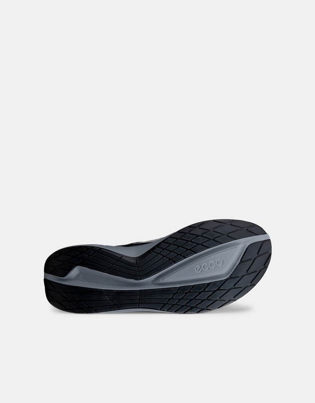 ECCO - ECCO Biom 2.2