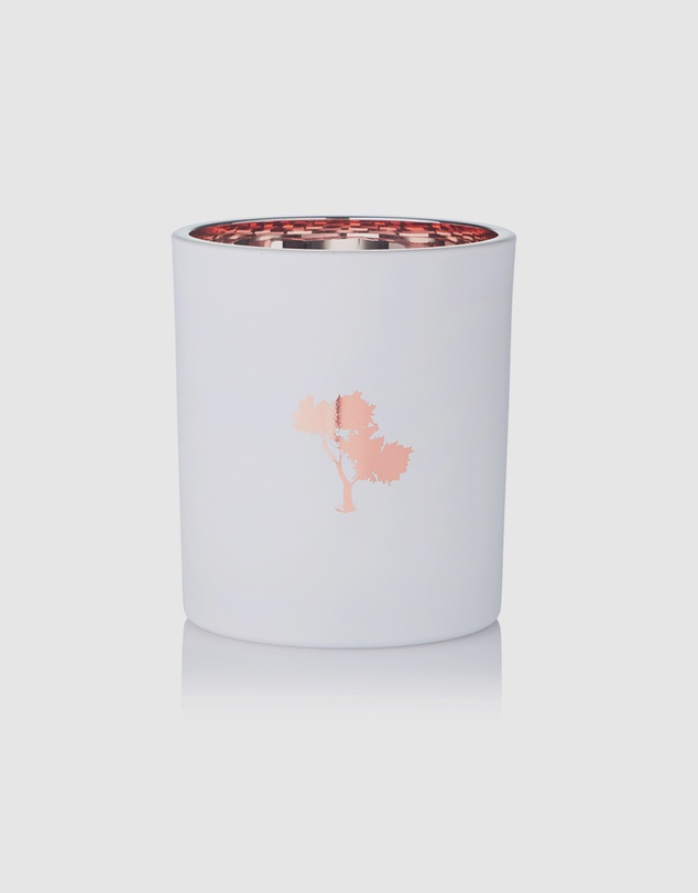 Silk Oil of Morocco - Champagne & Strawberries Luxe Natural Soy Candle