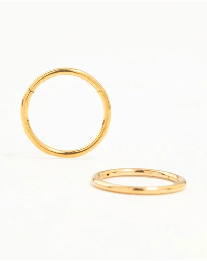 Lovisa - Gold Plated Surgical Steel Medium Sleeper Earrings 10 mm