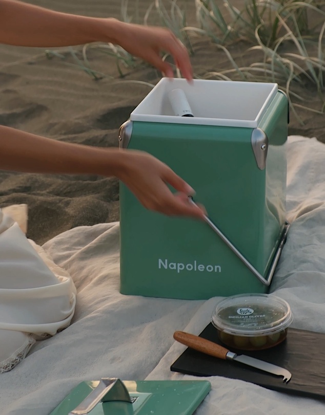 Napoleon Goods - Mini Cooler