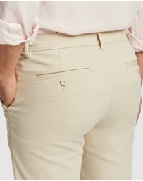 yd. - Energy Regular Chino