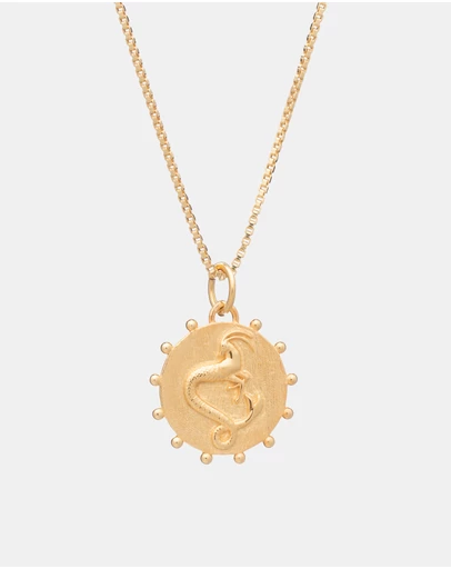 Rachel Jackson - Zodiac Art Coin Necklace Capricorn